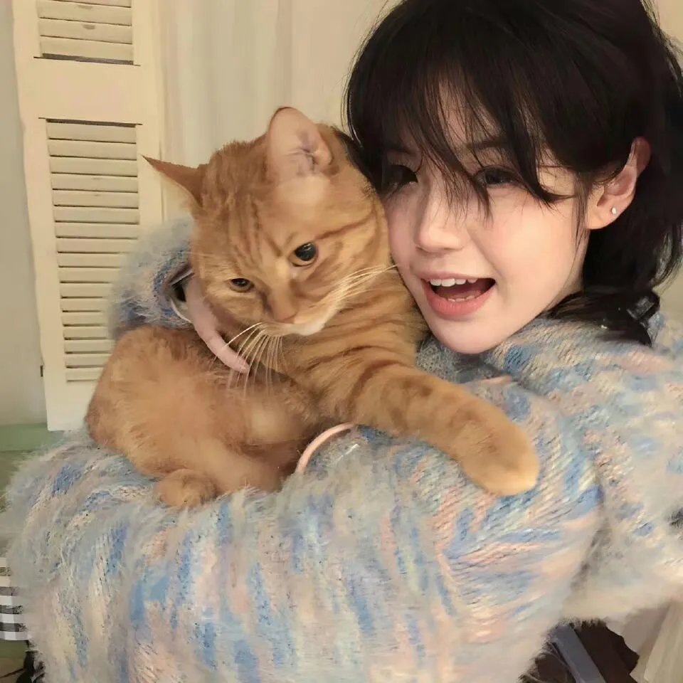猫忍