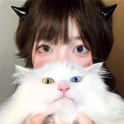 日落节拍
